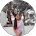 Client Image
